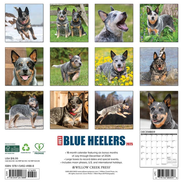 Willow Creek Press & Gifts - Wholesale Calendar - Blue Heelers 2025 Wall Calendar