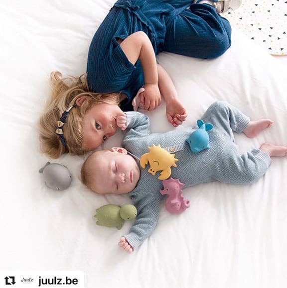 Tikiri Toys LLC - Wholesale Bath Toy - Baby - Dolphin Natural Organic Rubber Teether, Rattle & Bath Toy10