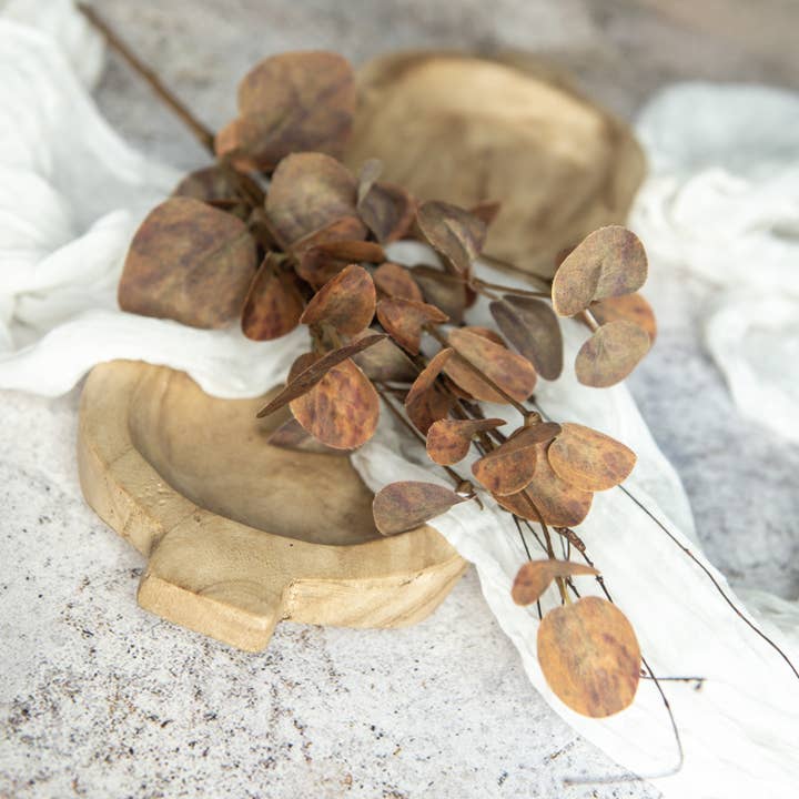 19.5" BROWN EUCALYPTUS & TWIG PICK for wholesale by Ragon House