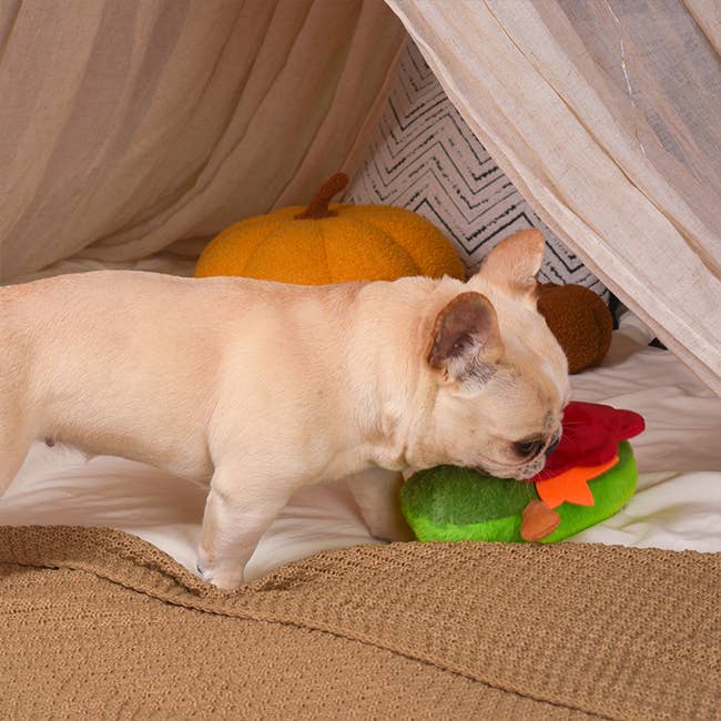 Hugsmart Products Inc - Vendita all'ingrosso Peluche - Cani - HugSmart Pet - Autumn Tailz | Turkey Avocado - Peluche per cani