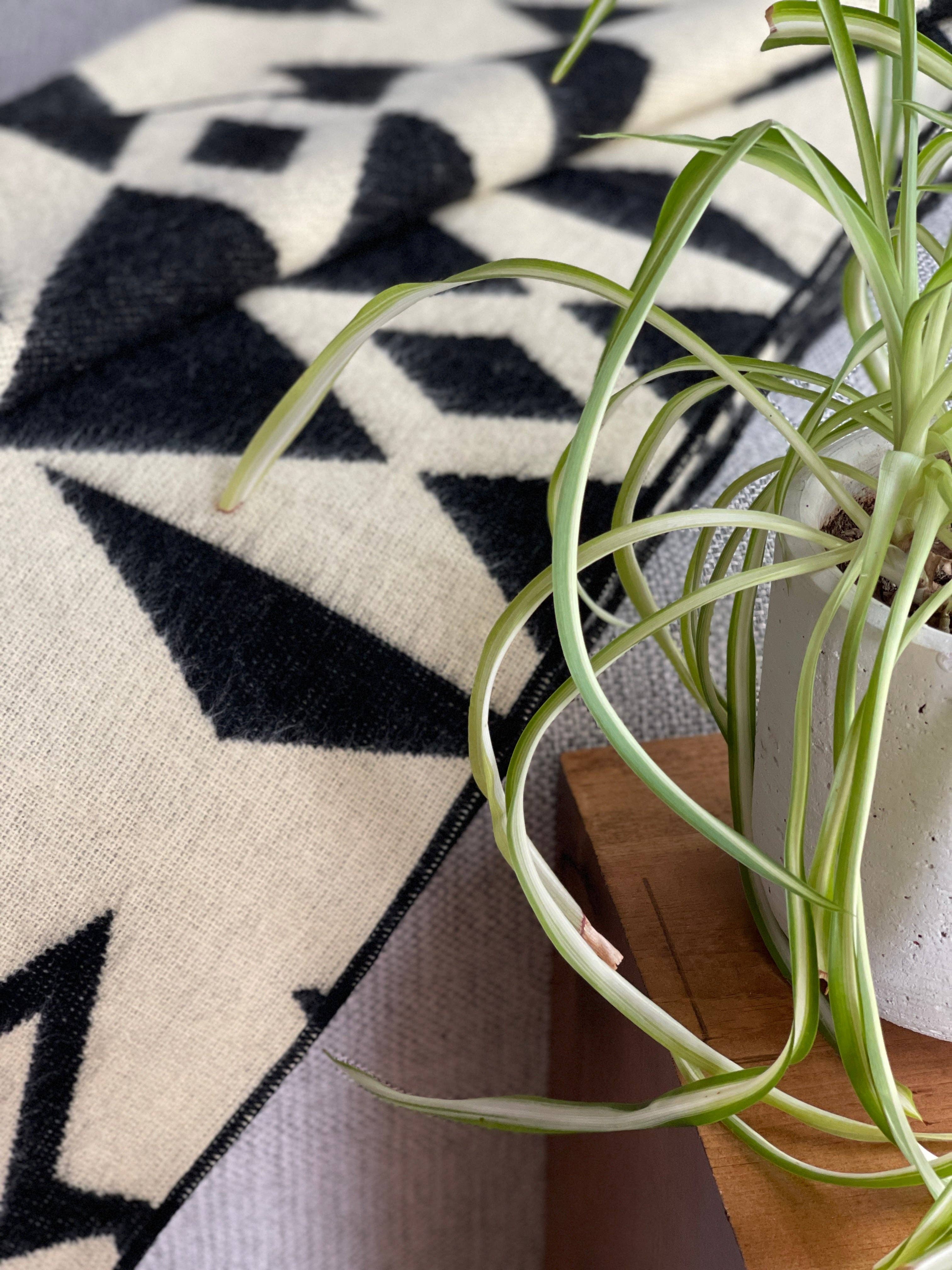 Beyond Borders Collective | Artisan-Made Blankets & Throws – Engroshandel Tæppe – Awa Plaid - Natur / Sort3