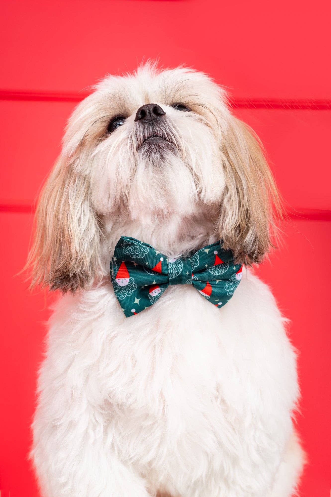 Molly & Co. - Wholesale Pet Bow Tie - Dog - Santa - Dog Bowtie3