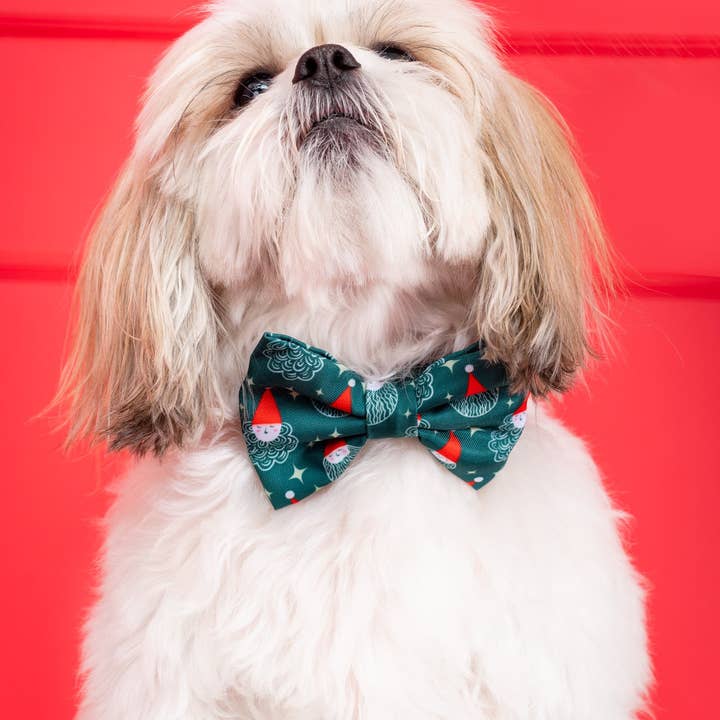 Molly & Co. - Wholesale Pet Bow Tie - Dog - Santa - Dog Bowtie3