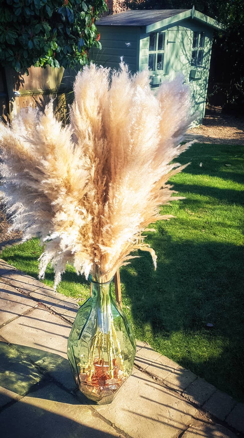 LoveProducts Ltd - Venta al por mayor Flores secas/prensadas - Hierba pampeana grande Alta esponjosa Caña seca decoración floral boho11
