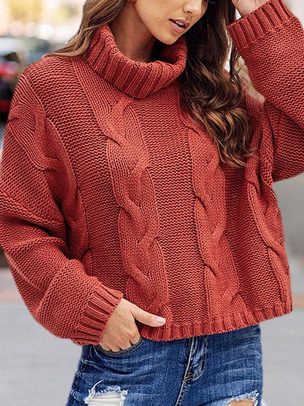 ShieldChic - Wholesale Knit Sweater - Women's - Jacquard High-Neck Long Sleeves Sweater Tops0