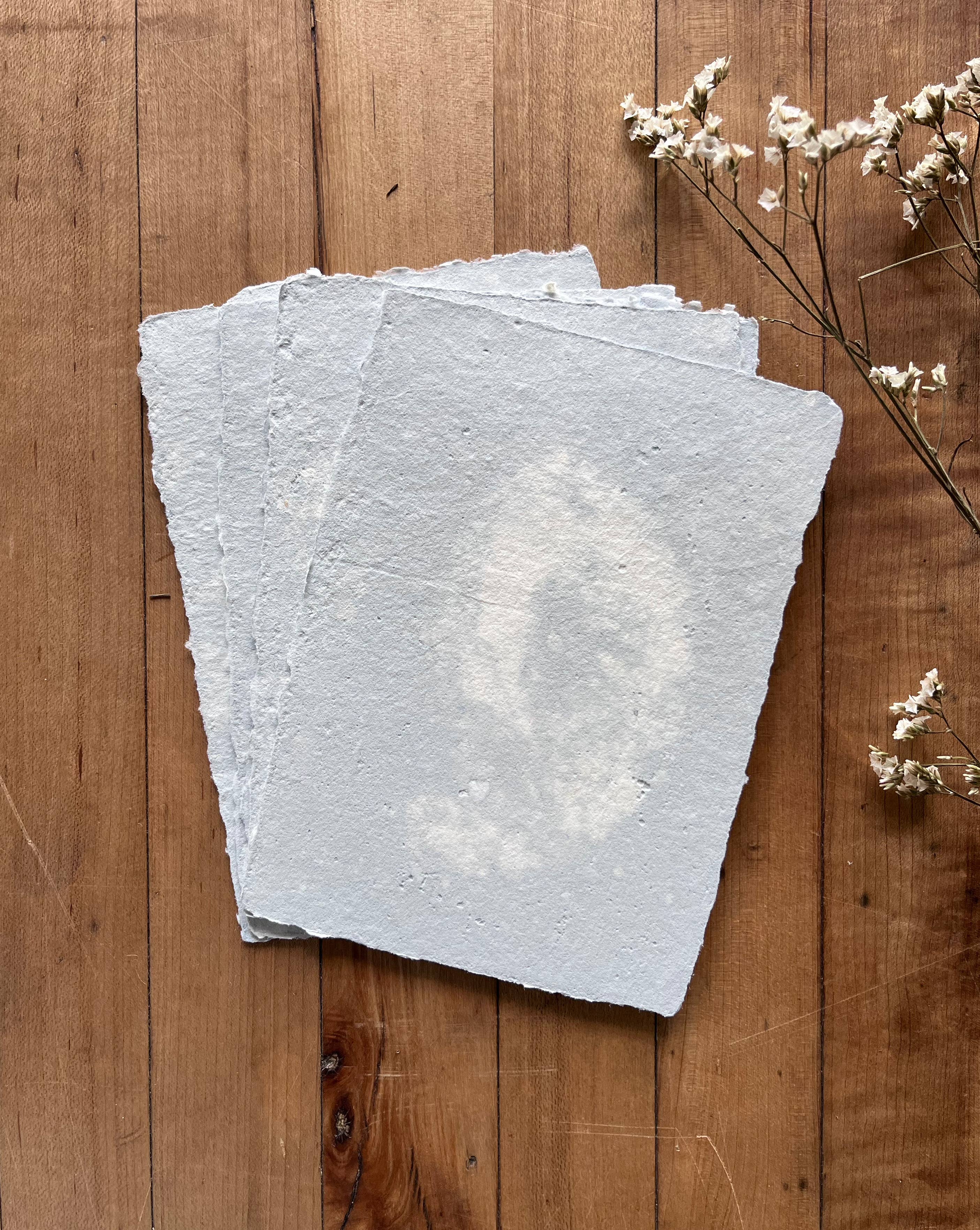 Bat Flower Press - Wholesale Stationery/Notecard Set - Mini sets of cards with envelopes1