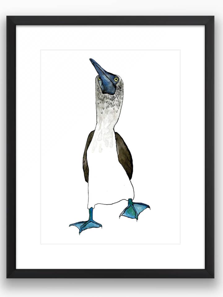 Blue Footed Booby 1 Print for wholesale by Brienne Cosman Design