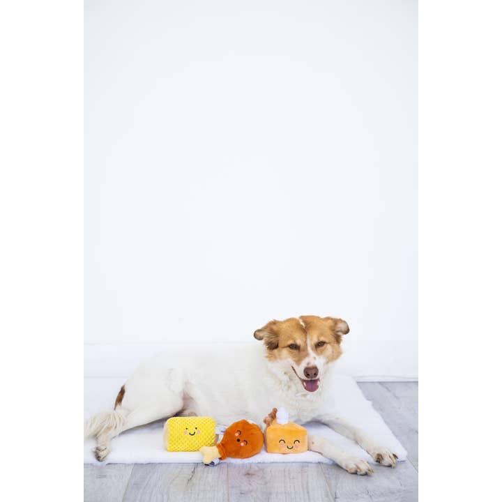 Pearhead - Wholesale Pet Plush Toy - Dog - Thanksgiving Dinner Fall Dog Toys, Set of 3