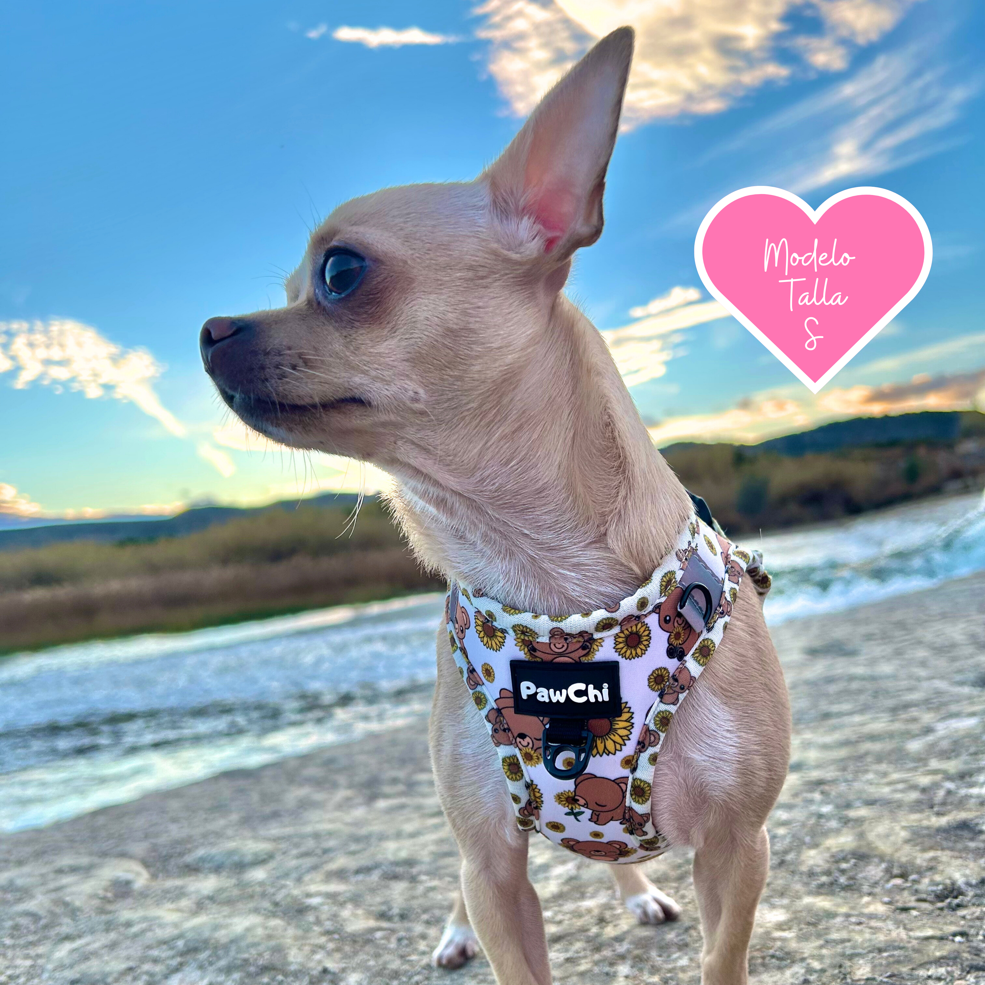 PawChi - Wholesale Pet Harness - Dog - SUNNY BEAR BODY HARNESS5