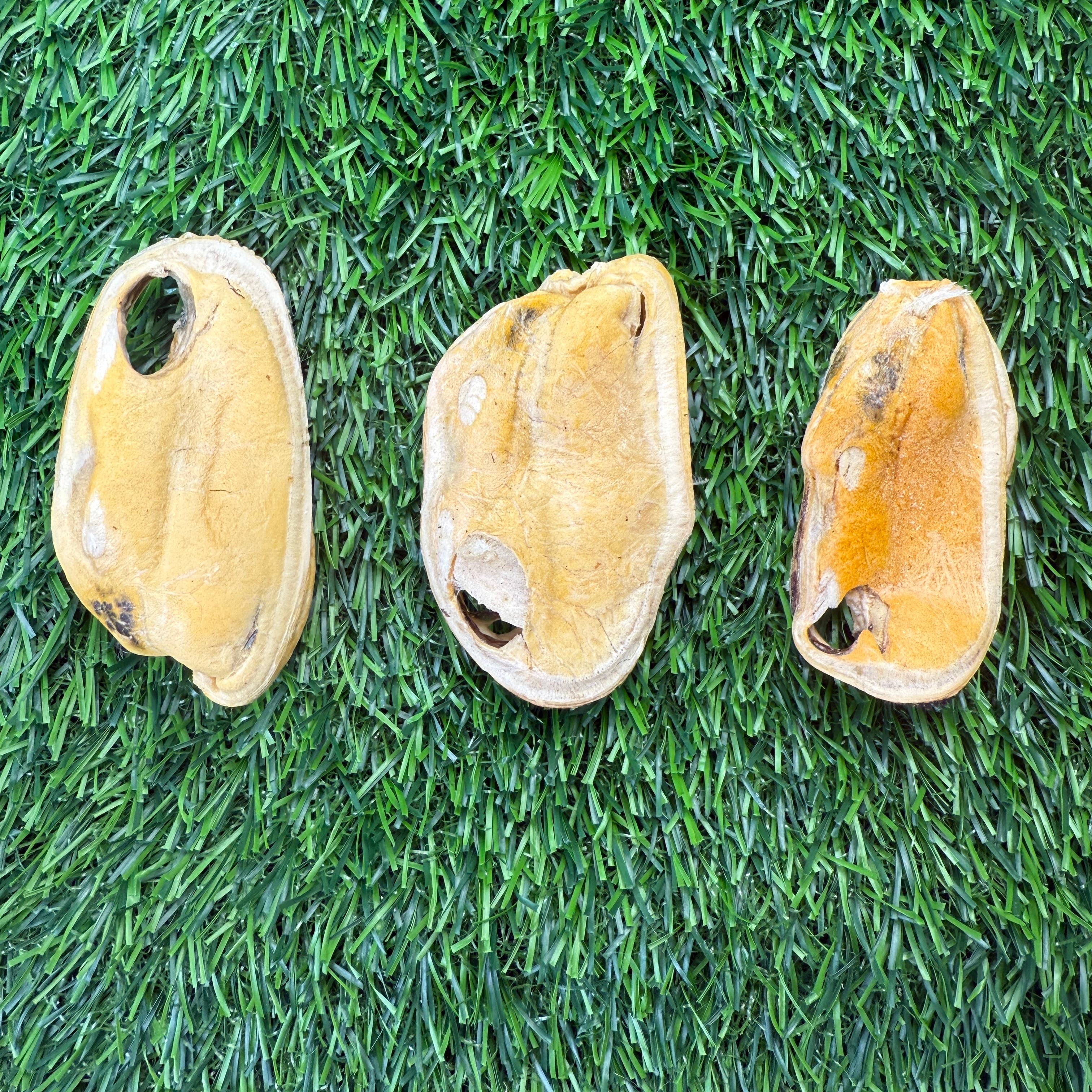 Golden Nibbles - Wholesale Pet Treats - Dog - New Zealand Green-Lipped Mussel - Freeze-Dried 1