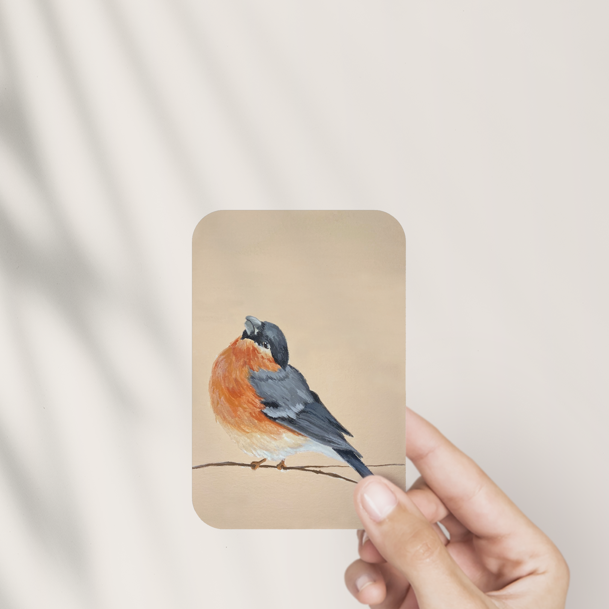 Victoria in Design - Wholesale Sticker - The Robin Vinyl Sticker3