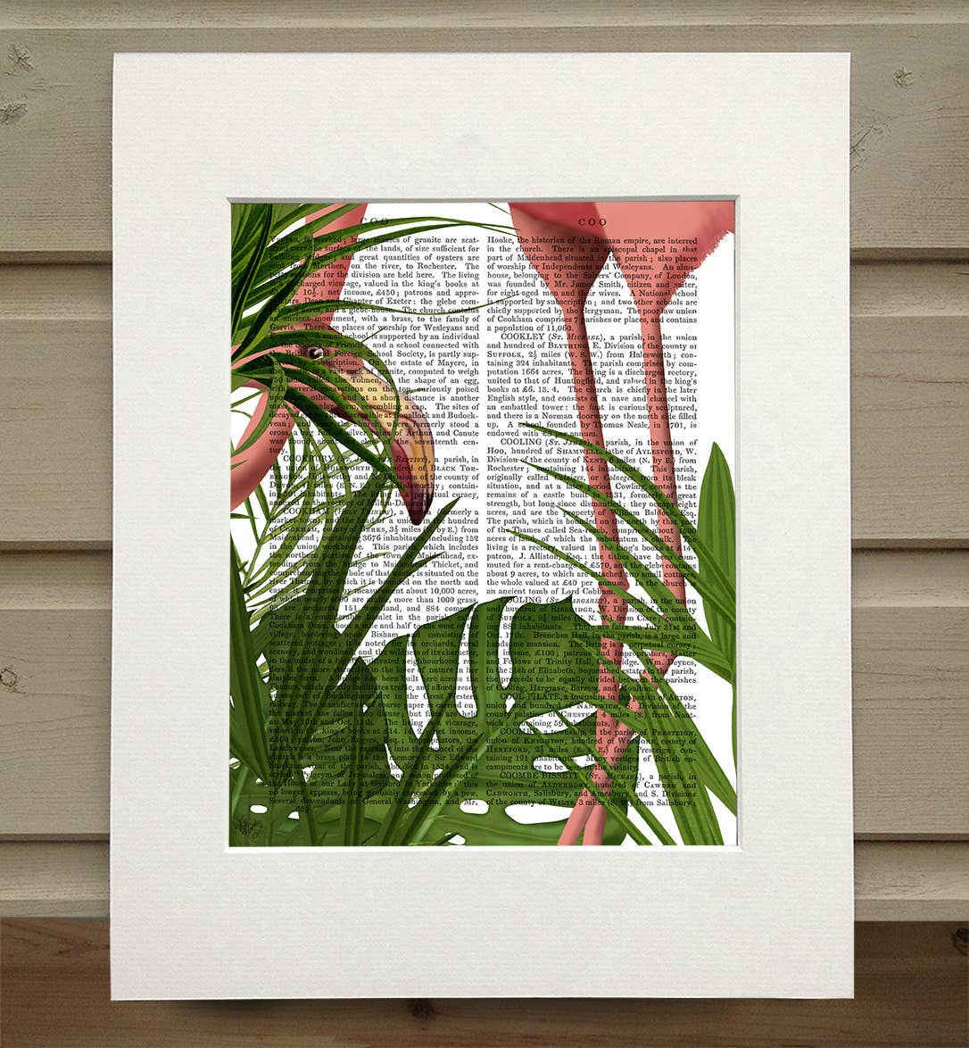 FabFunky Ltd - Wholesale Art Print - Flamingo Peering, Tropical Book Print / Art Print / Wall Art0