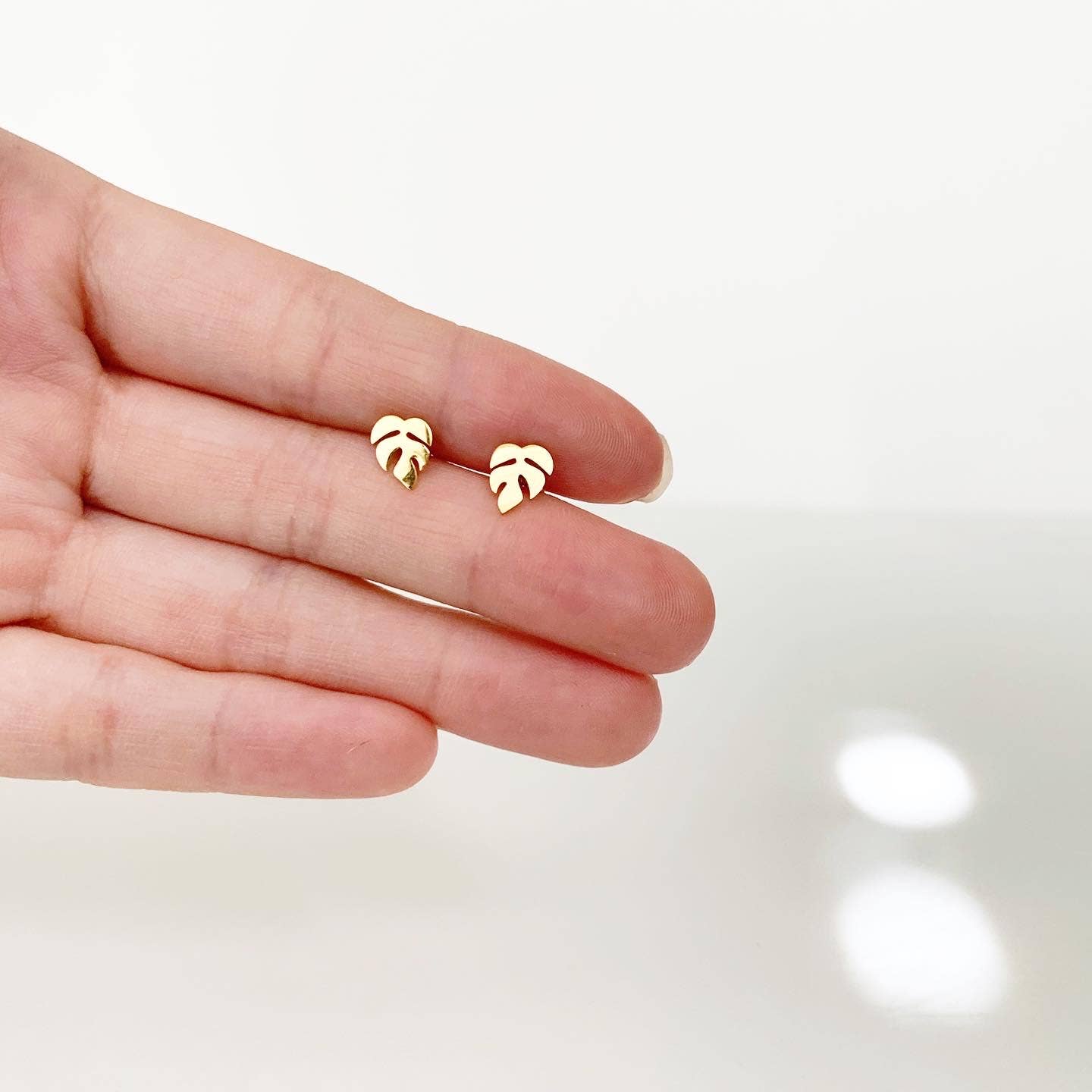 Dainty Little Tiny Things - Wholesale Stud/Post Earrings - Rhaphidophora Tetrasperma | Hypoallergenic Earrings1