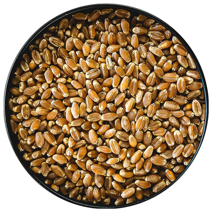 Hard Red Spring Wheat for wholesale by Storehouse Foods