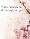 Pink Blossom Pet Sympathy for wholesale by jungle brands ltd