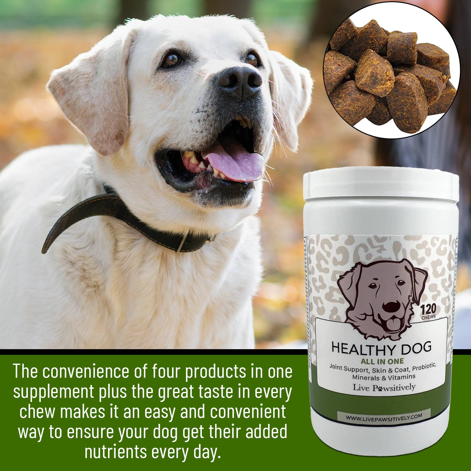 Live Pawsitive - Vente Compléments alimentaires – chien - Complément alimentaire à mâcher pour chien Healthy Dog All in One, fabriqué aux États-Unis1