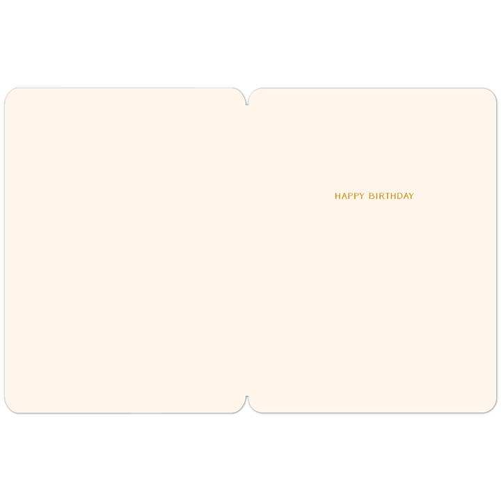 Willow & Ivy Press – wholesale Birthday card – Carpe Vinium Seize the Wine Pink Wine Bottles Birthday Card1