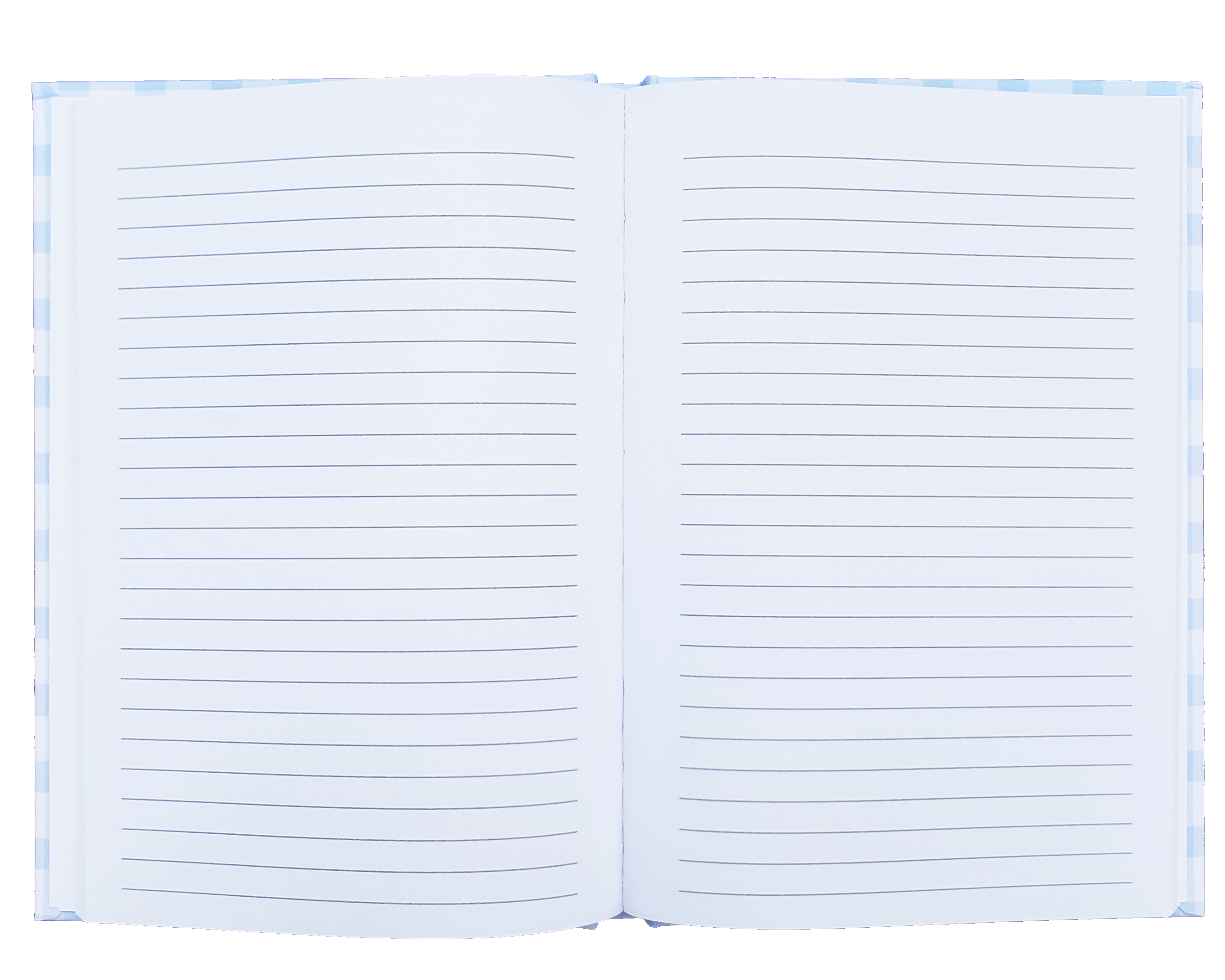 itty bitty builds - Wholesale Notebook - Minneapolis Summer Picnic Notebook2