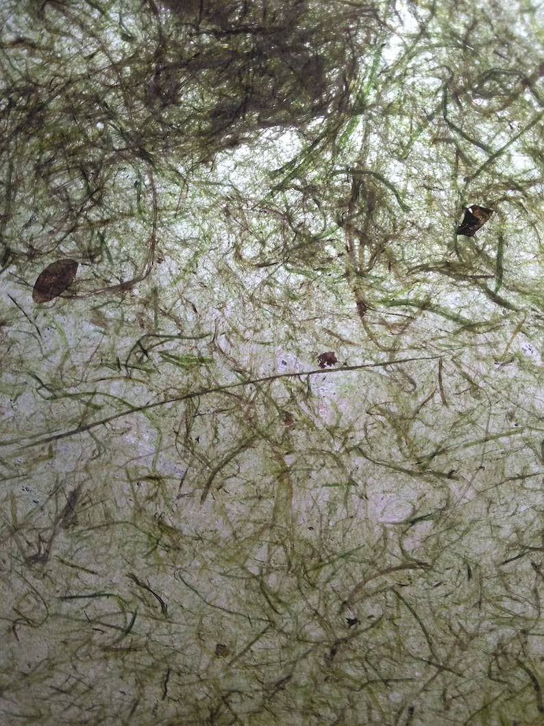 Joanne Rich - Wholesale Painting Paper - Grass Paper3