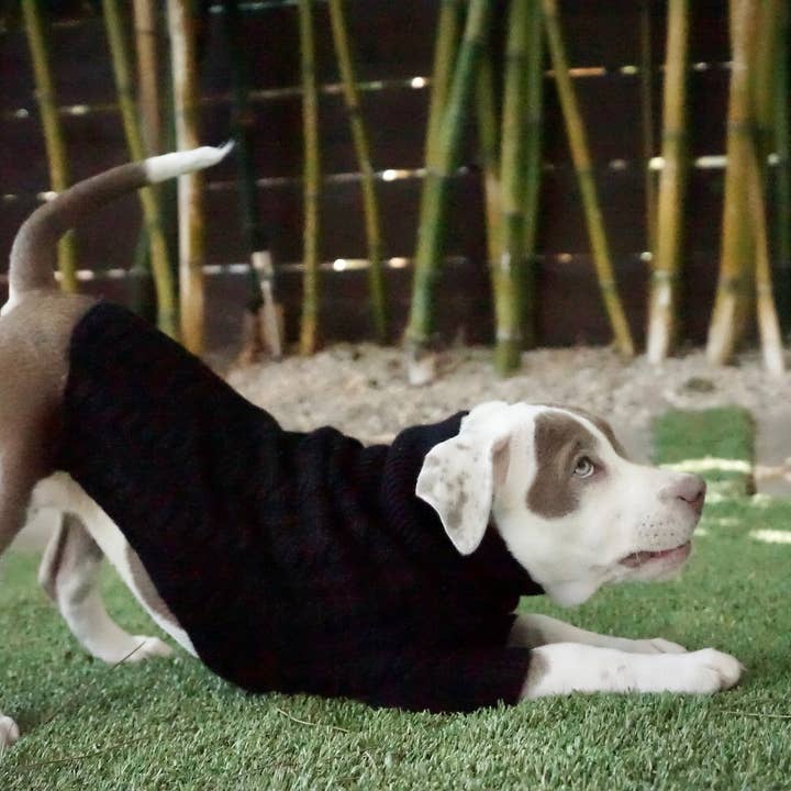 Negro El RUFUS de venta al por mayor en Faire