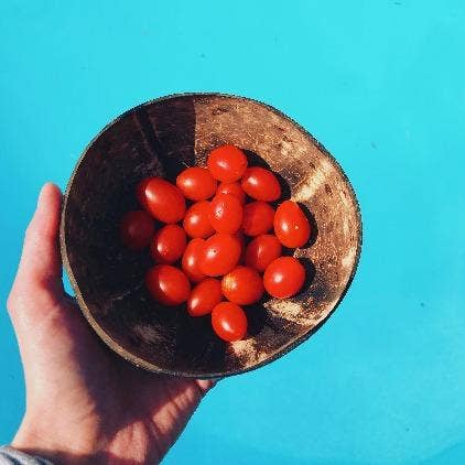 Panda & Coco – wholesale Bowl – Coconut Bowl with spoon3