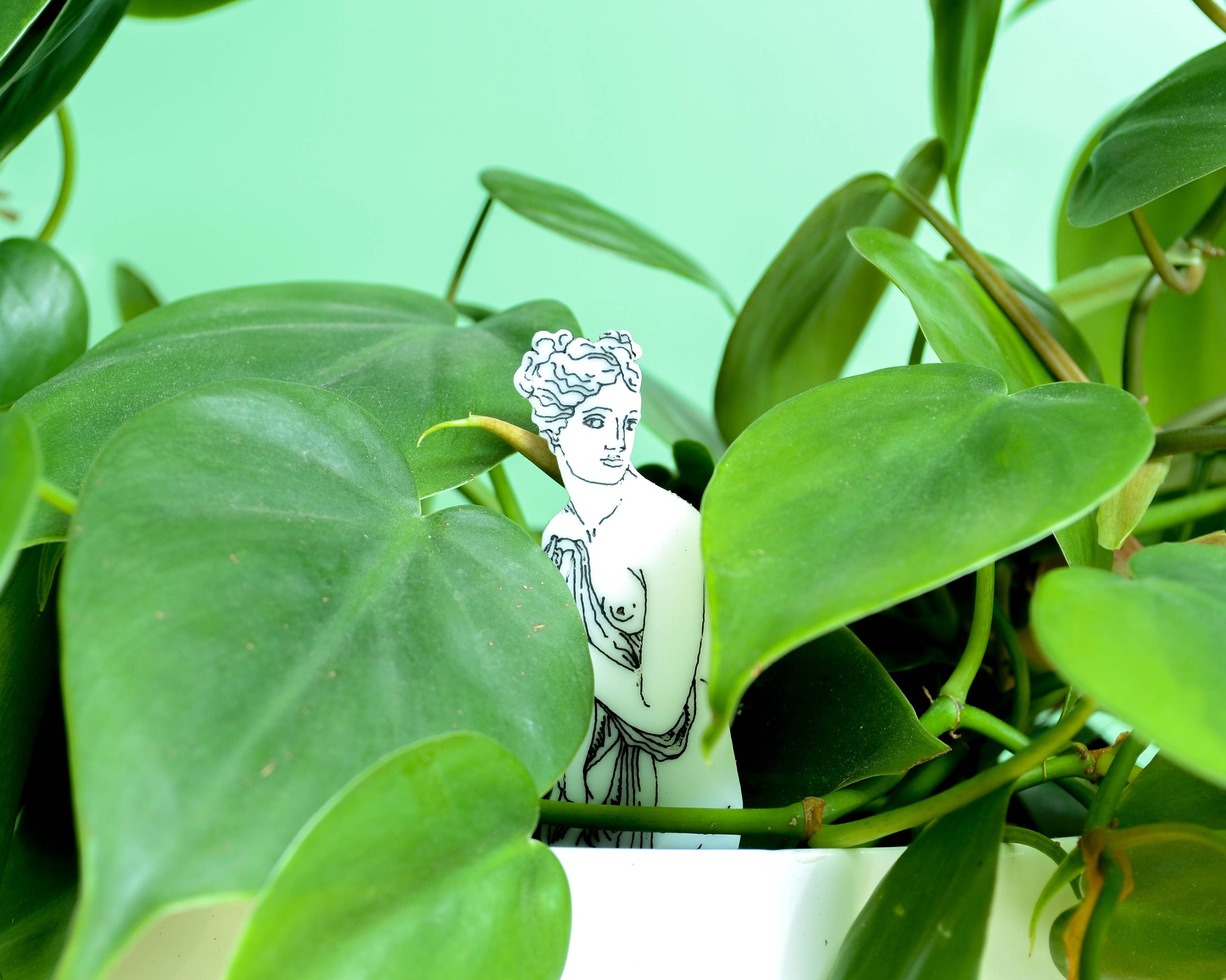 Button and Fern - Wholesale Garden/Lawn Stake - Classical Statue Plant Stakes Set - 5 Acrylic Garden Markers4