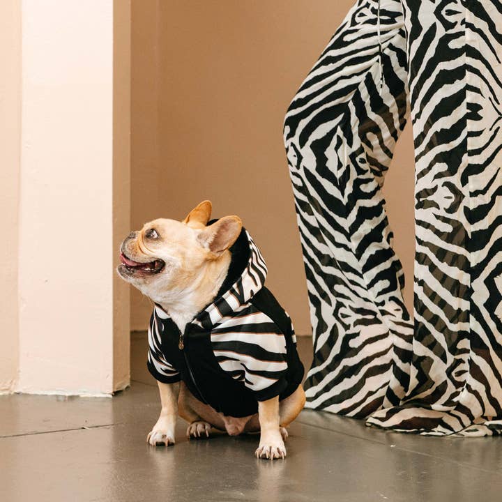 Frenchie - Vente Sweat à capuche – chien - Sweat à capuche pour chiens Frenchie - Zebra3