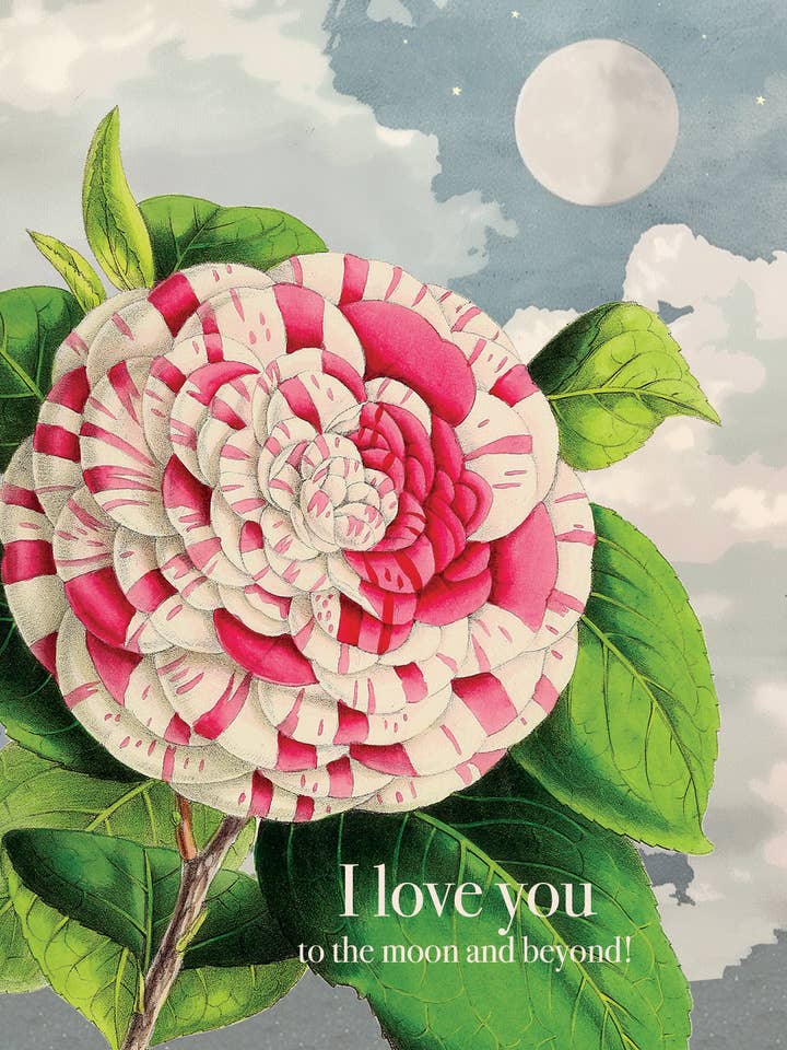 I love you,to the moon and beyond A2 greeting card for wholesale by P. Flynn Design / Phun House