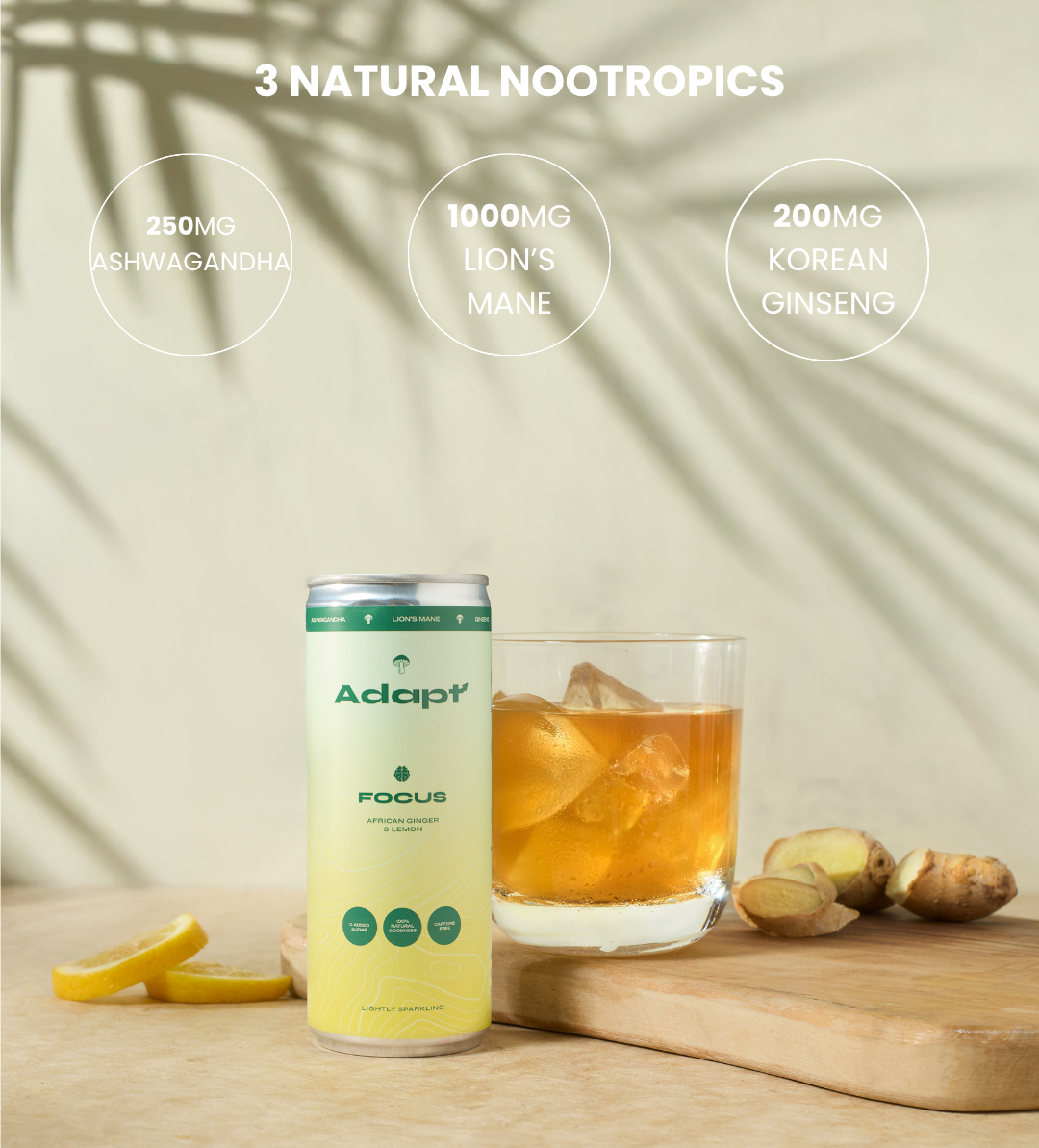 Adapt Drinks - Wholesale Soda/Carbonated Drink - Lemon & Ginger Nootropic Soda • with Lion's Mane1