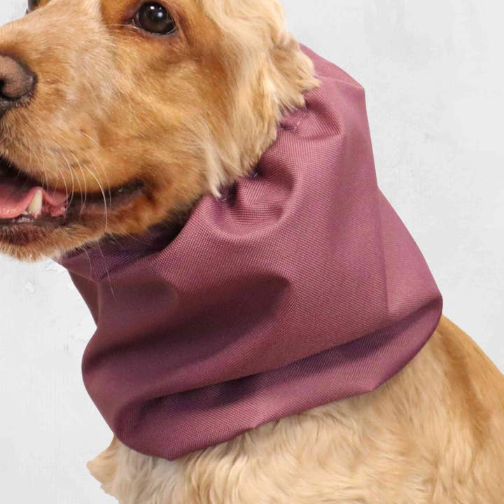 Wasserdichter Hundeschal | Säure-Burgunder für den Großhandel von Distinguish Me