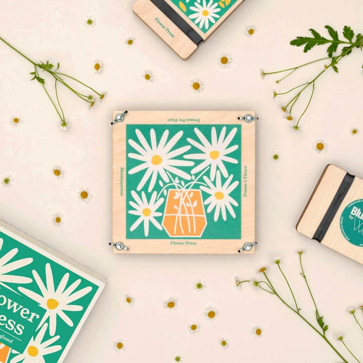 Studio Wald - Wholesale DIY Craft Kit - Flower Press - Daisy