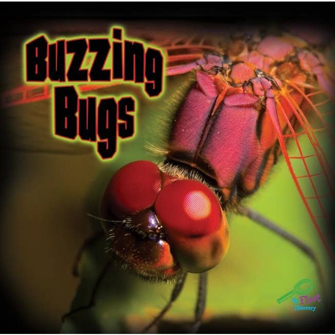 Bradley's Book Clearance - Wholesale Nature & Outdoors - Buzzing Bugs