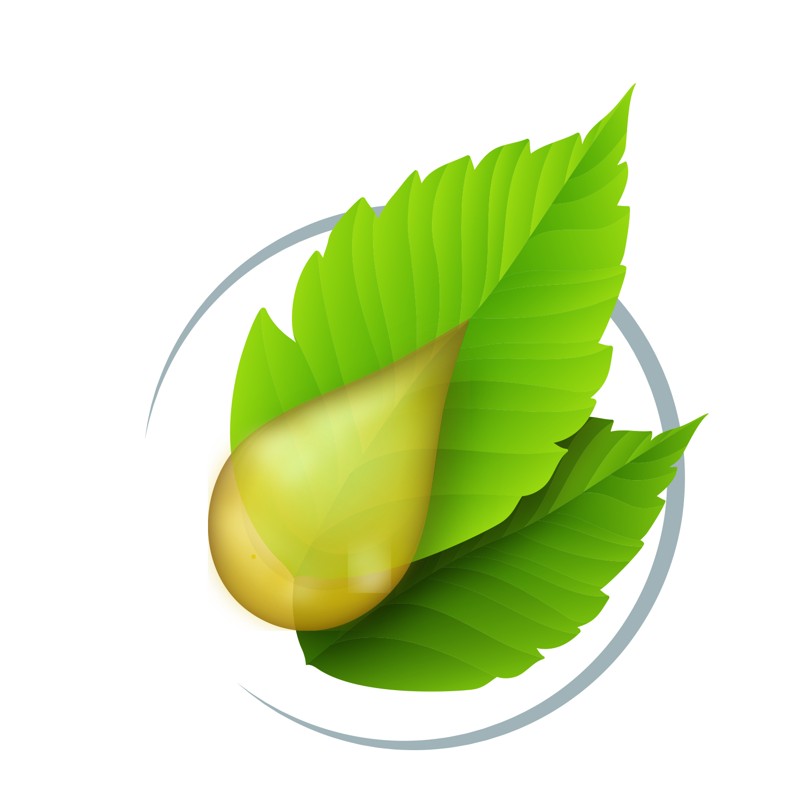 Kutjo - Wholesale Antibacteriële reiniger - Pack 10 Kompact Navullingen 15ml - Pepermunt1