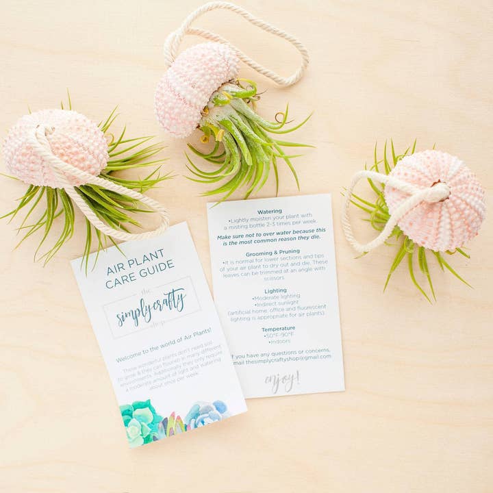 The Simply Crafty Shop - Wholesale Live Plant - Air Plant Jelly Fish on Rope8