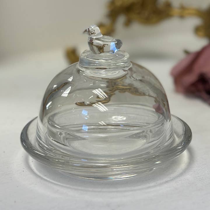 Glass Bird Cloche for wholesale by Vagabond Vintage