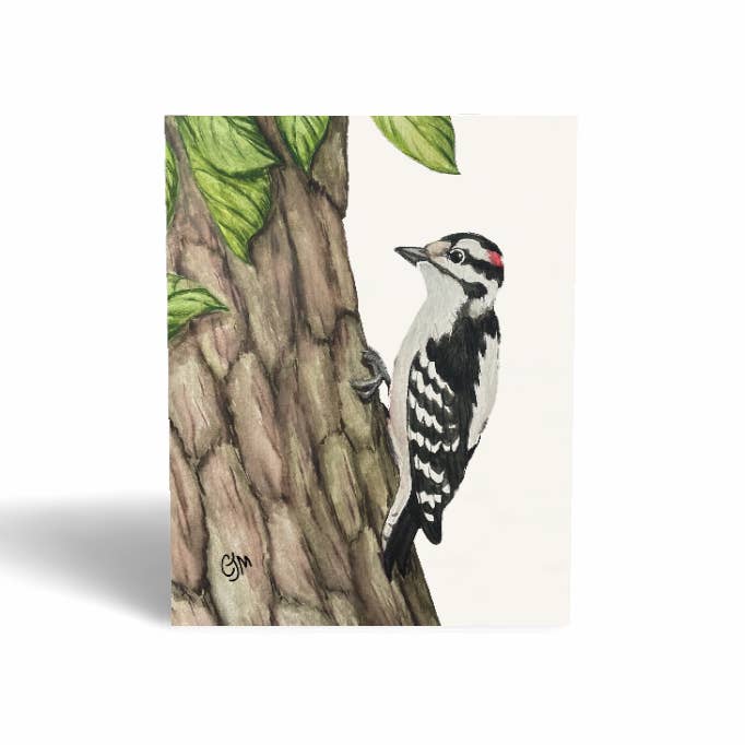 BirdMatch - Wholesale Everyday Greeting Card - Greeting Cards3