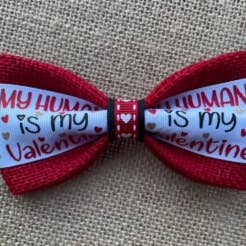 My Human Is My Valentine sur toile de jute rouge pour la vente par DOG BOW TIES