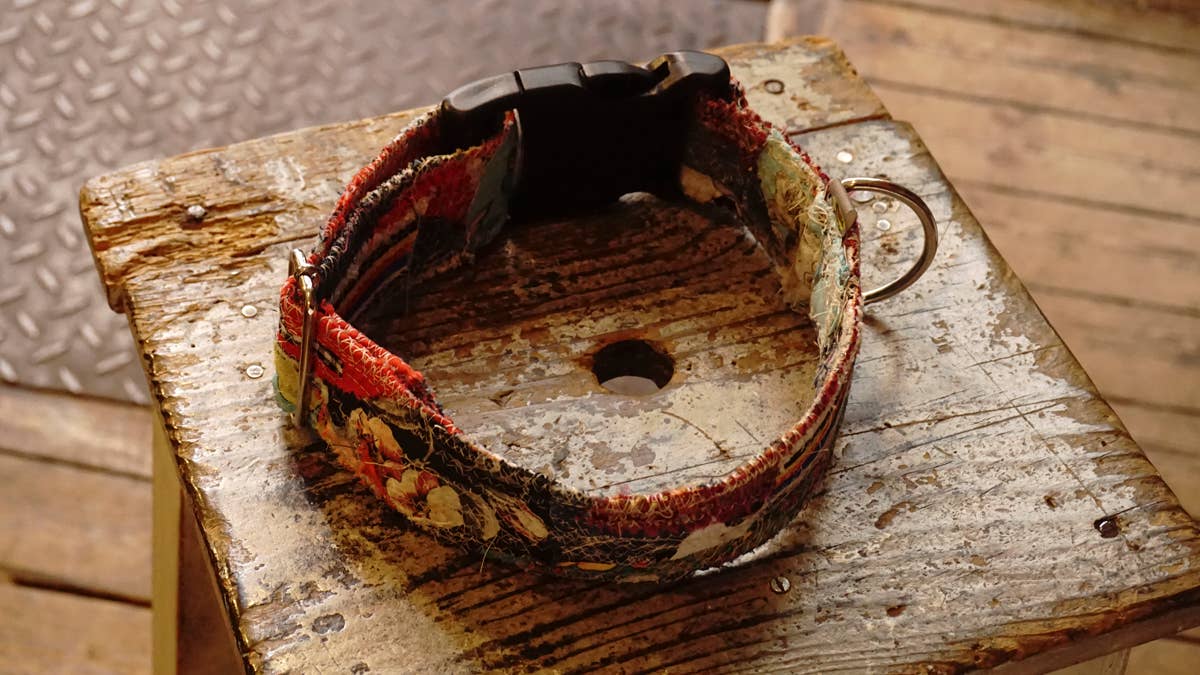 hundsfutter - Wholesale Pet Collar - Cat/Dog - Just this one. 20