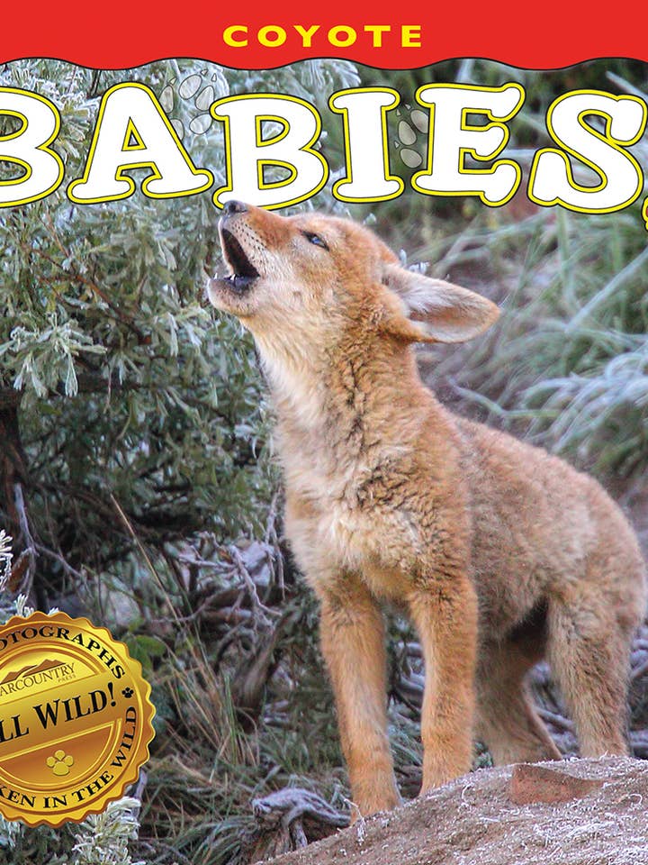 Coyote Babies! for wholesale by Farcountry Press