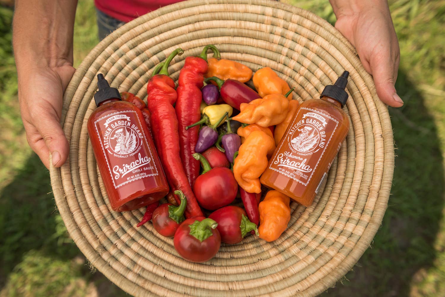 Kitchen Garden Farm – Engroshandel Hot sauce – Økologisk sriracha i original, habanero og ghost pepper varianter2