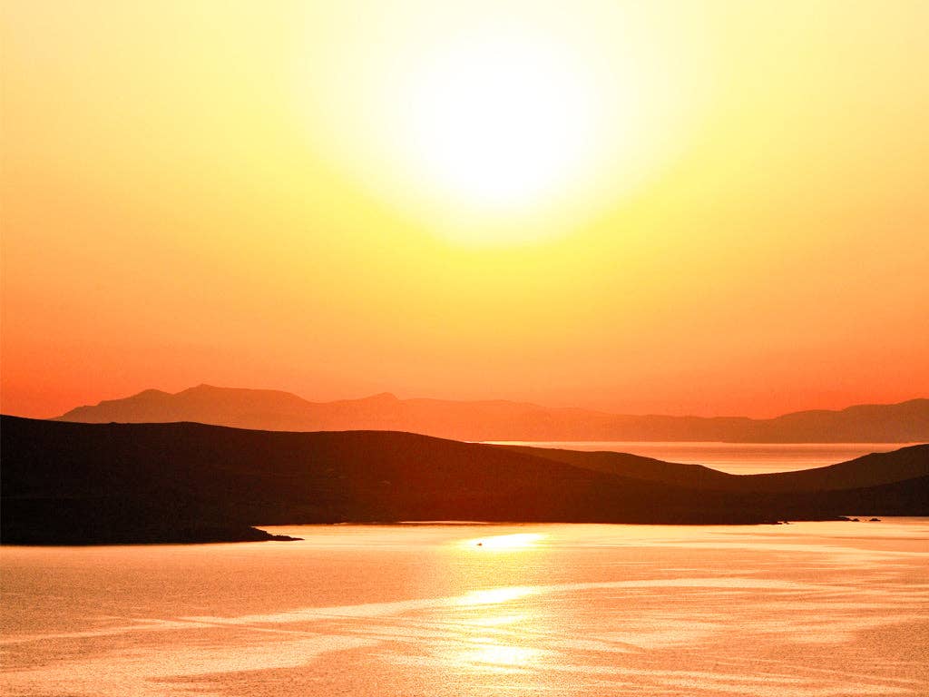 MICONIC - Wholesale Perfume/Eau de Toilette - Rhenia1