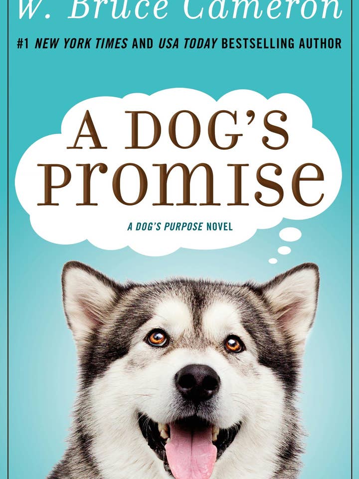 Dog's Promise: A Novel for wholesale by Macmillan Publishers