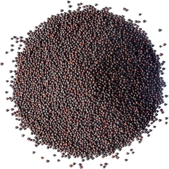 Food To Live - Vendita all'ingrosso Semi di piante - Semi biologici di broccoli per germogli - crudi, per coltivare germogli1