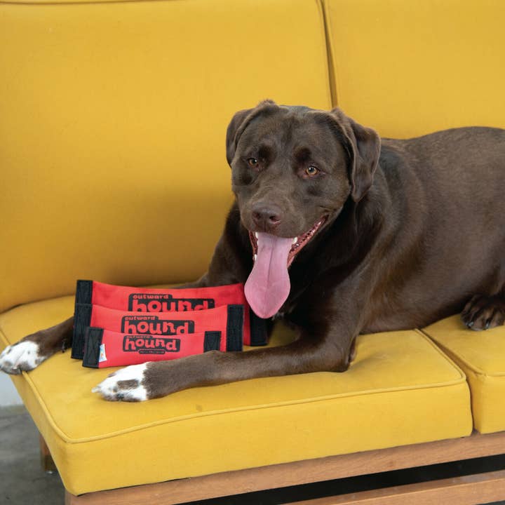 Pet Palette Distribution - Wholesale Pet Plush Toy - Dog - Outward Hound Fire Hose Fetch Durable Dog Toy Red Large