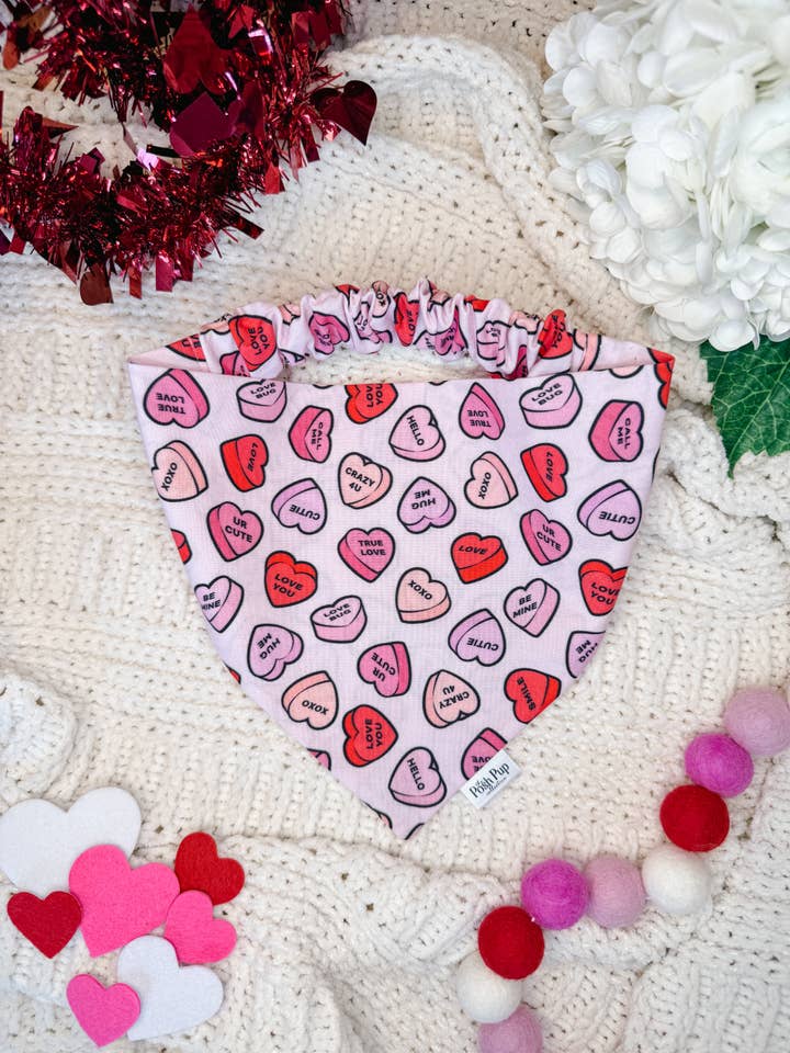 Sei Mine Bandana für den Großhandel von The Posh Pup Collective