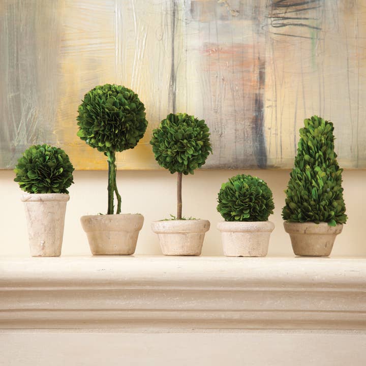 Napa Home & Garden - Wholesale Artificial Plant - Boxwood Topiaries In Pots, Set Of 5