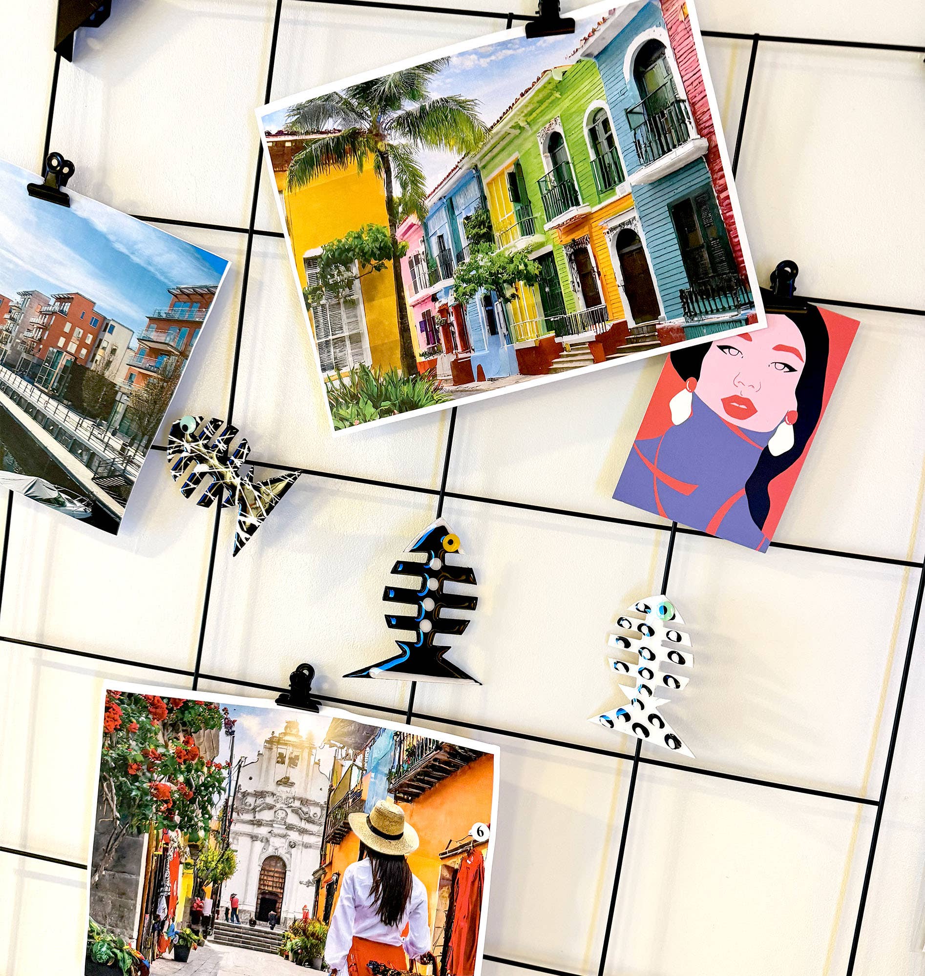 Cuccia Co. - Wholesale Magnet - Friends Fish Magnets, Urban Vibe 6