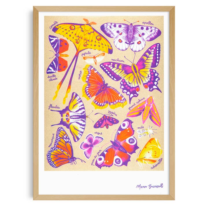 A3 Poster - Manon Bucciarelli - Butterflies for wholesale by KIBLIND Atelier