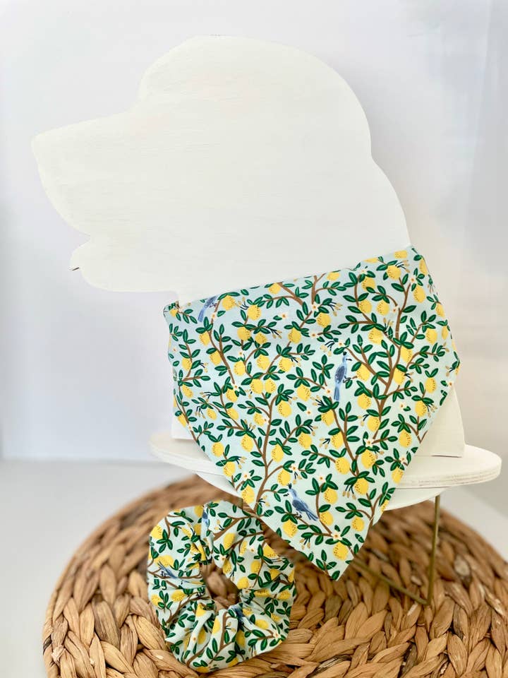 Simply The Zest Set for wholesale by PawmettoPup