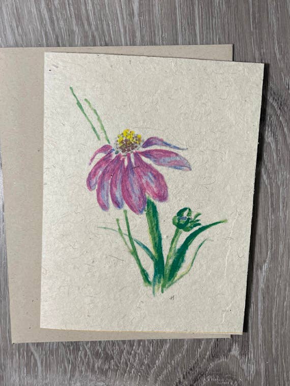 Plantable Card | Echinacea for wholesale by 1 Simple Seed